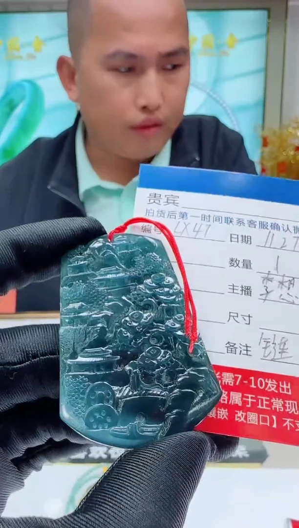 未镶嵌定制翡翠LX47翡翠吊坠赠珠链-多样性发其一