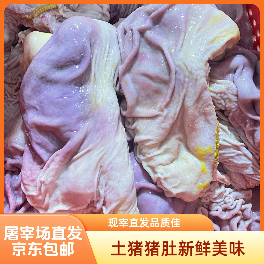 （只做精品-新鲜精修去油猪肚）现宰现发洗干净 猪肚鸡煲汤鲜美
