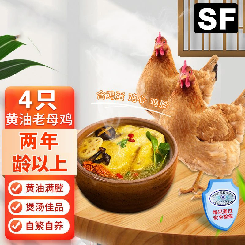 【顺丰包邮】四只两年散养黄油老母鸡炖汤月子汤整鸡带鸡蛋鸡心鸡胗