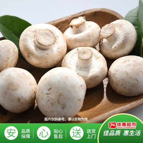 【新鲜】白鸡菇盒装（口蘑 烤肉必备）