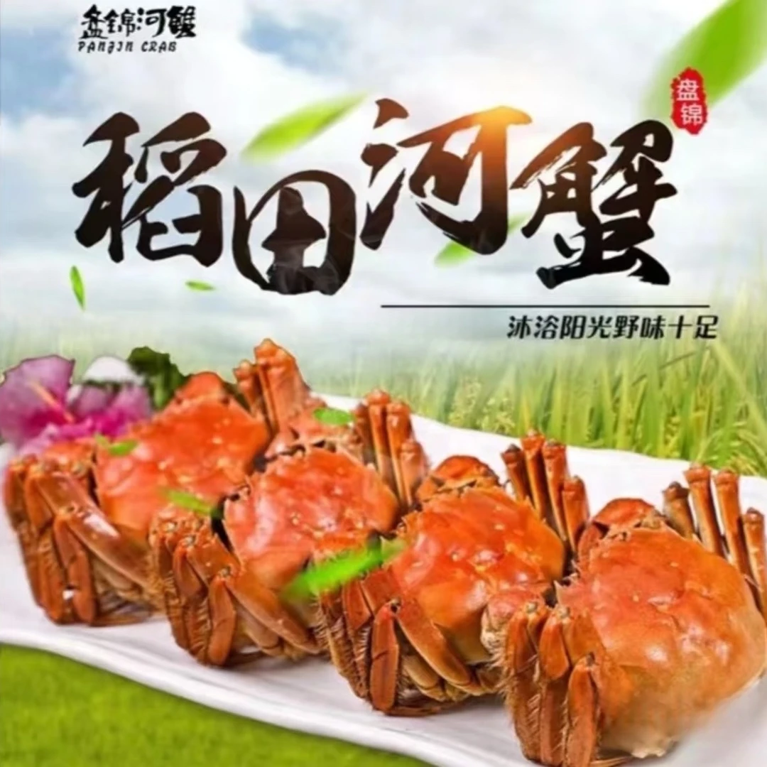 【辽宁省外拍】盘锦河蟹鲜活发货全国公蟹（1.3-1.6两）15只