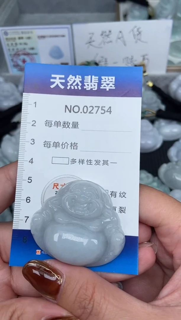 颈饰未镶嵌翡翠纯天然A货翡翠2754