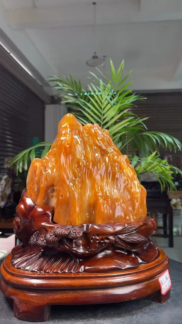 未镶嵌硅化玉（树化玉）珠宝奇石2320