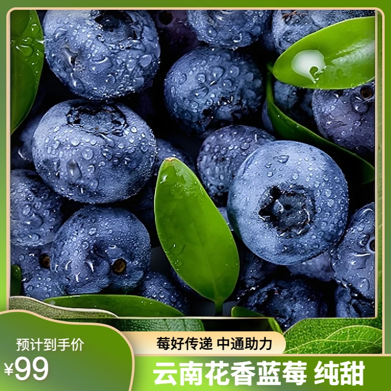 云南L25花香蓝莓18mm➕，纯甜无酸，中通空运到家，偏远地区不发货