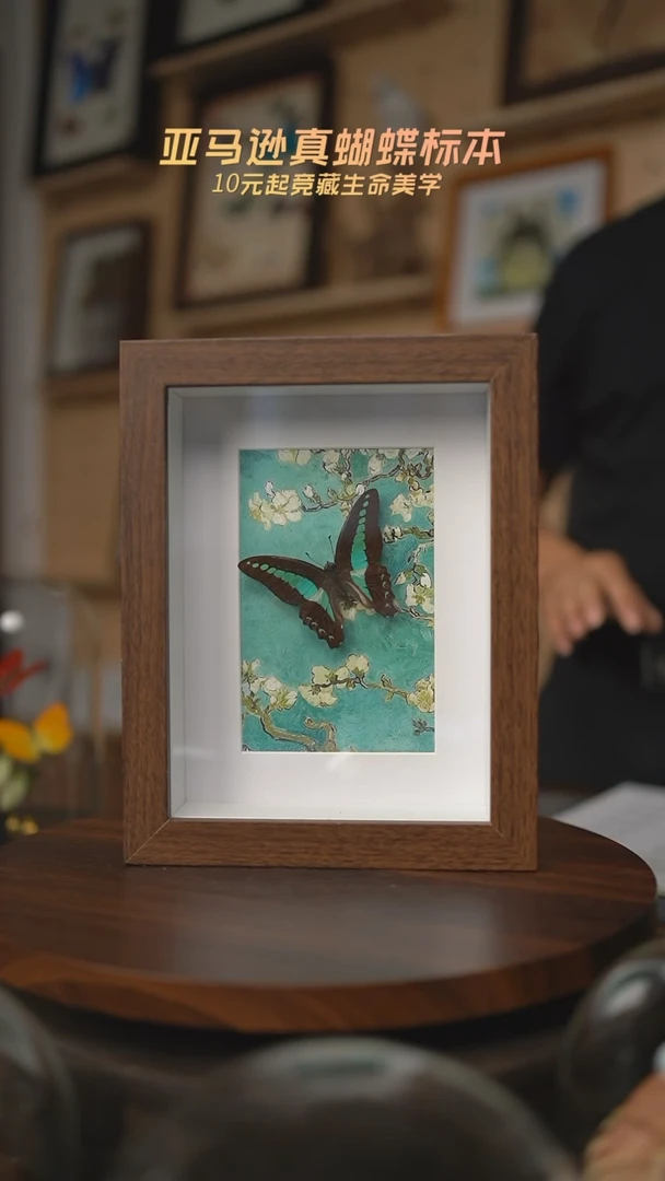 有机玻璃青凤蝶8寸复古框腊梅款