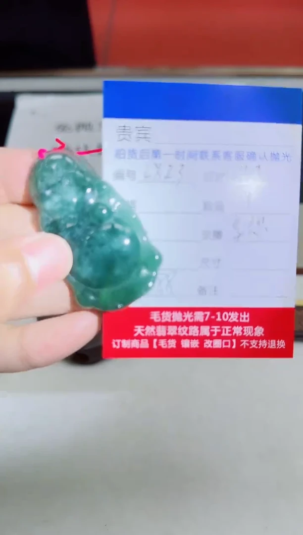 颈饰未镶嵌翡翠LX23翡翠吊坠-多样性发其一