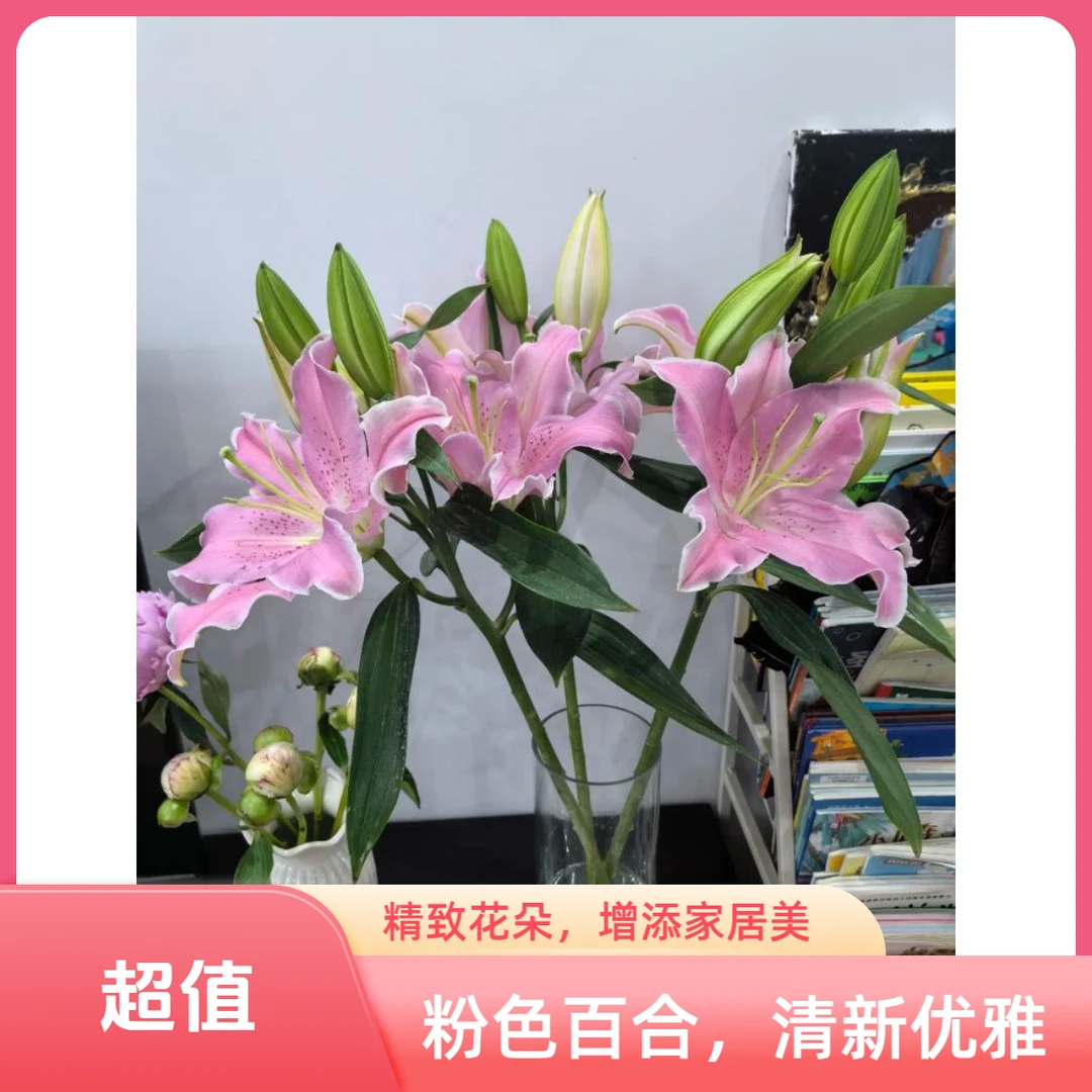 云南基地直发香水百合花束水养鲜花家用插花