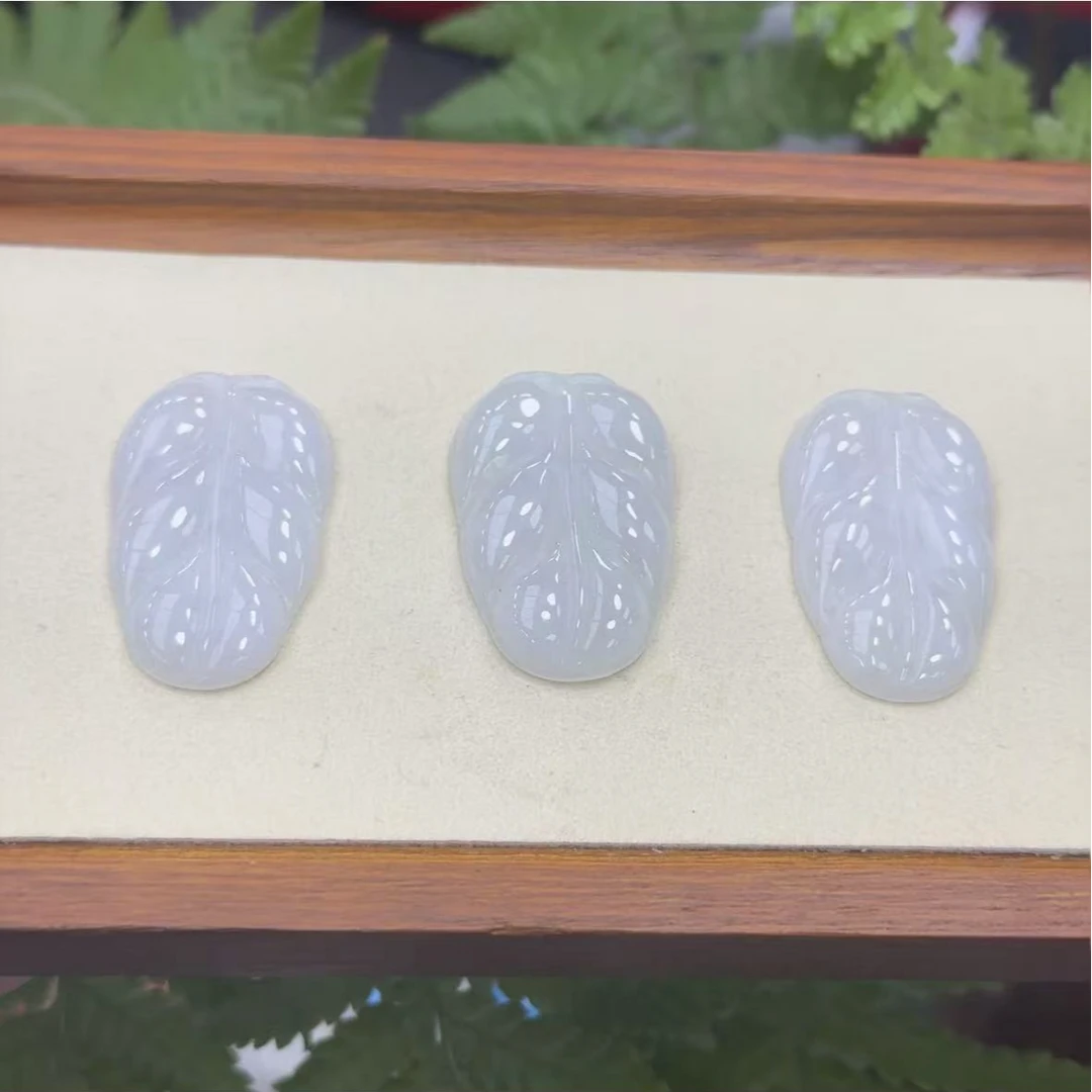 翡翠叶子多样性发1件LJ25090312/AD