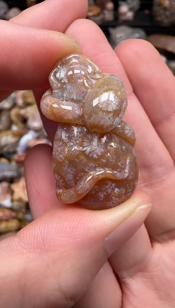 硅化珊瑚（珊瑚玉）未镶嵌颈饰124