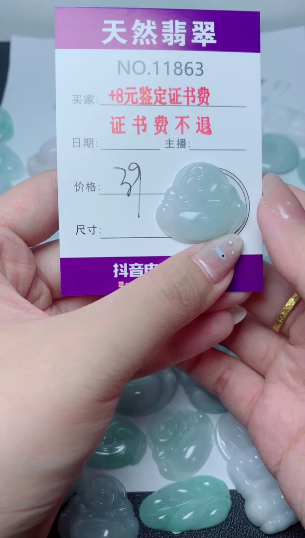 翡翠未镶嵌吊坠(不含链)863