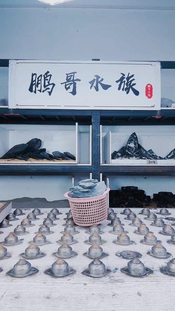 福利福利福利福利