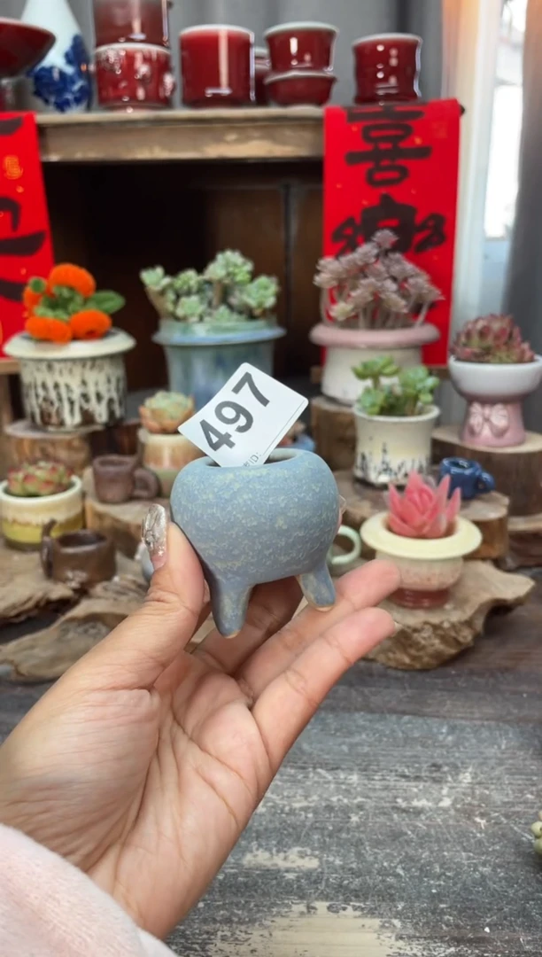 【闪购商品】摆件497微瑕知木小芳花盆