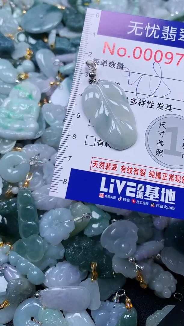 颈饰未镶嵌翡翠9724