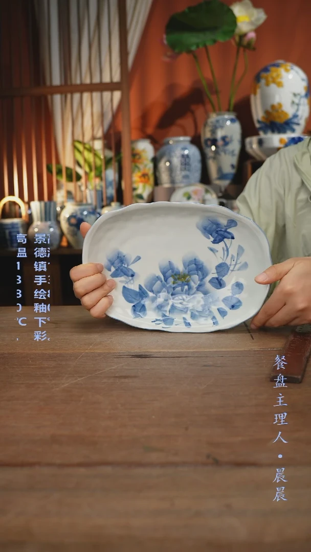 瓷片【简家甄选】景德镇设计师釉下手绘陶瓷餐具