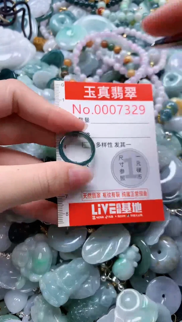 翡翠未镶嵌吊坠(不含链)7329