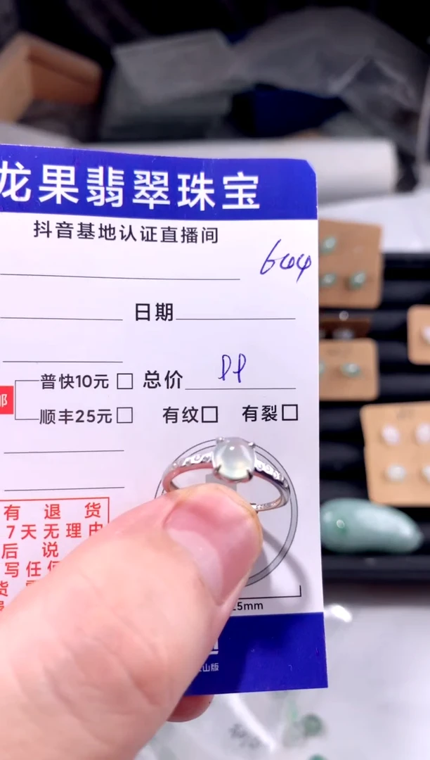 颈饰未镶嵌翡翠戒子644