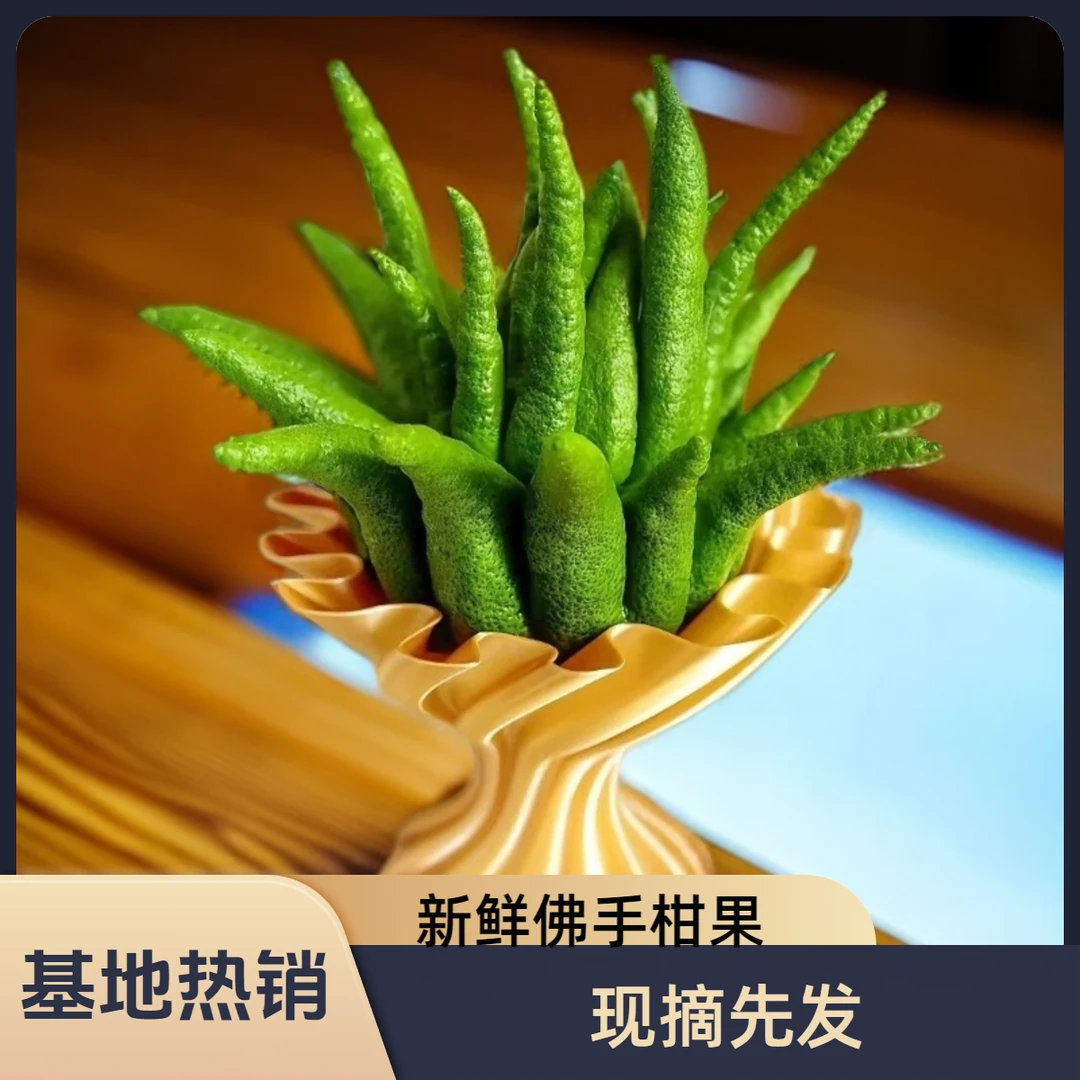 【云南基地直发】高山采摘佛手柑观赏闻香不可食用的天然香薰佳品