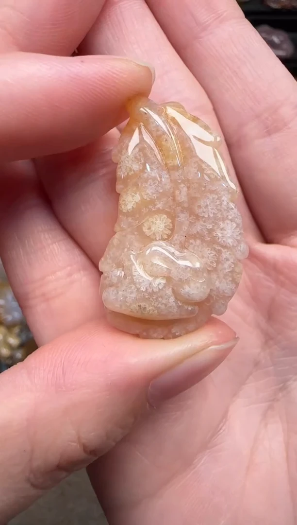 颈饰未镶嵌硅化珊瑚（珊瑚玉）202