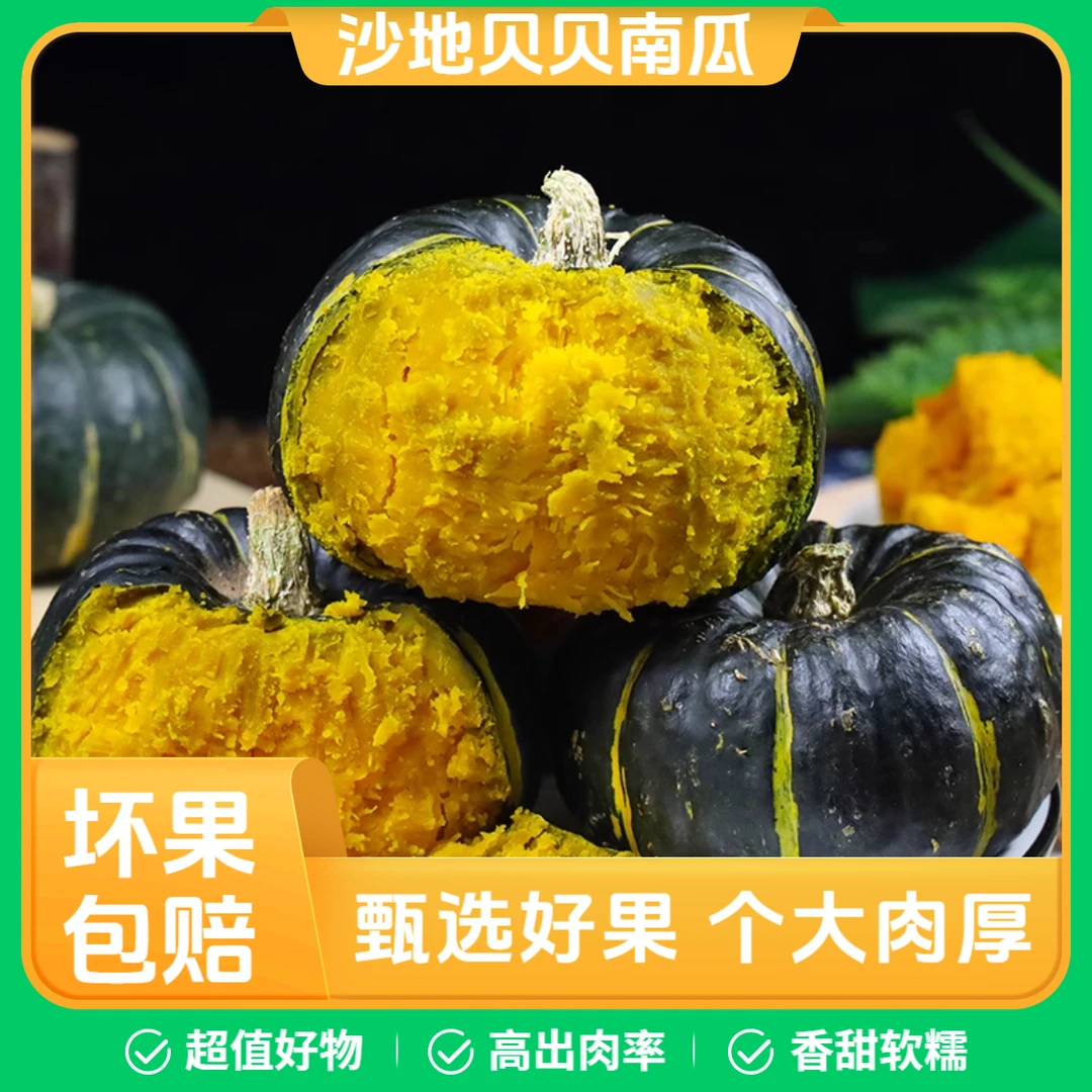 【坏果包赔】正宗沙地贝贝南瓜粉糯香甜板栗味适合宝宝辅食