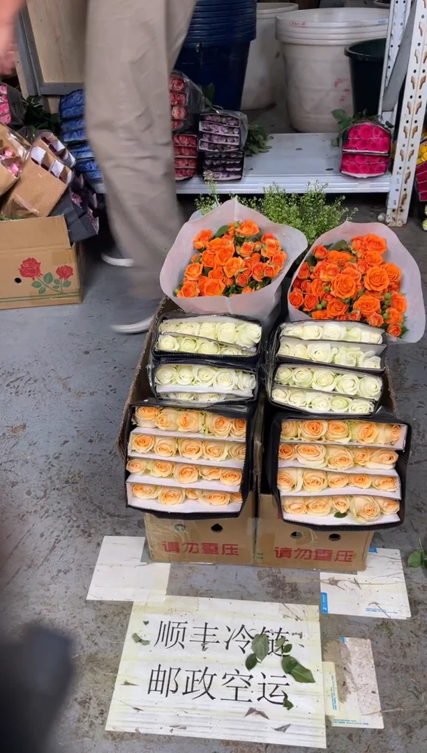 骄傲20枝+香槟20枝+橙芭比10枝+绿林草