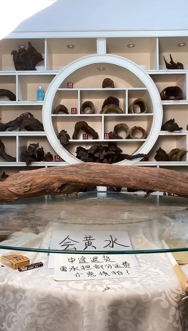 鱼缸造景素材302