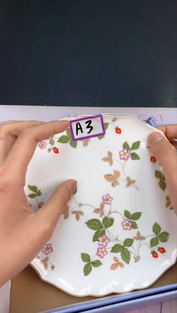 【闪购商品】瓷片都是我的大宝贝呀