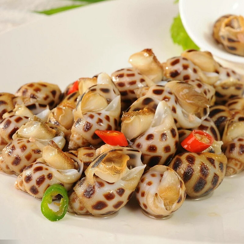 【59.9】花螺海鲜水产个个饱满大海螺-(超多350-400）
