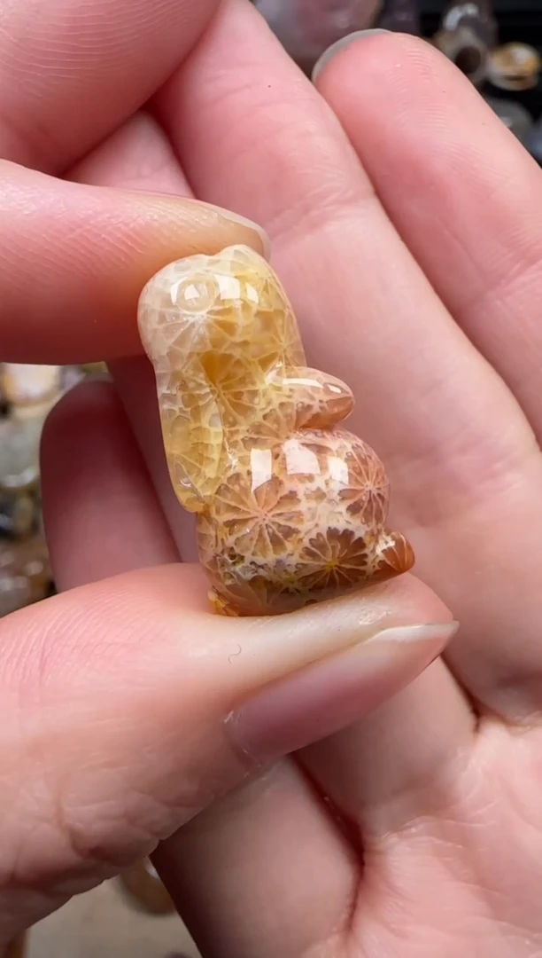 颈饰未镶嵌硅化珊瑚（珊瑚玉）812
