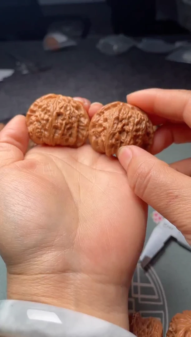 把件文玩核桃w326   白狮子40尺