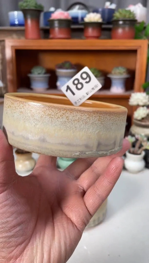 瓷片189小芳直播编号