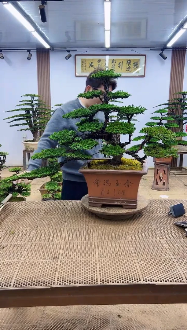 无花朵0000000000000