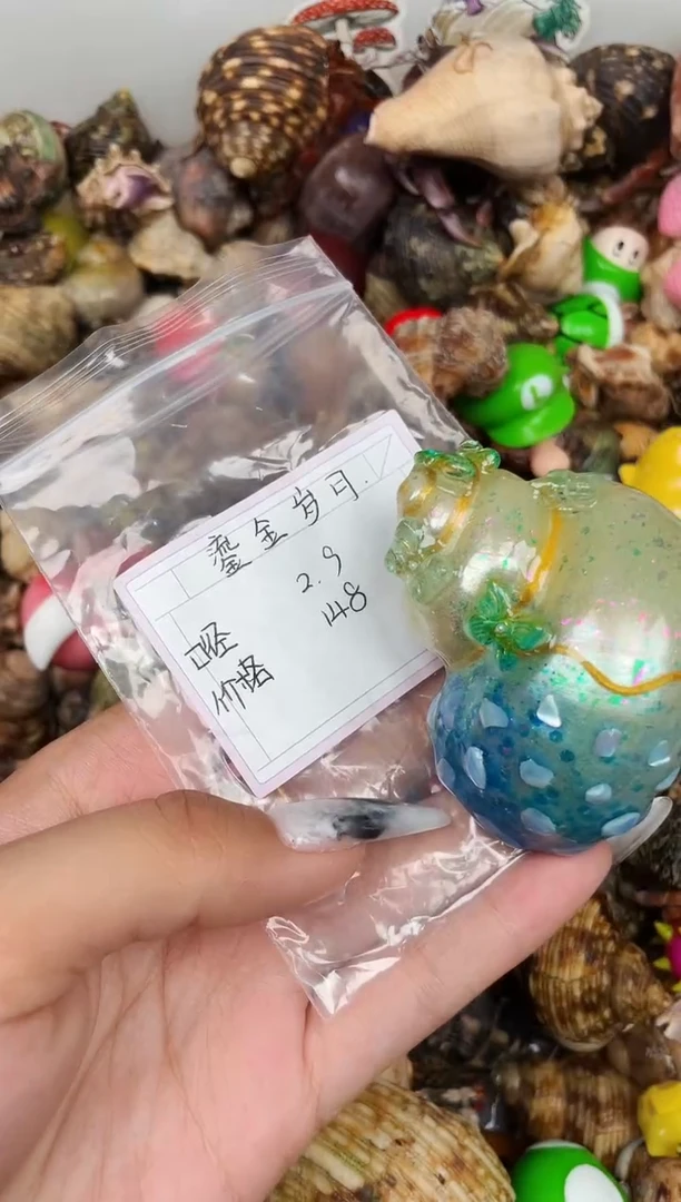糯*陌派甄选寄居蟹7767