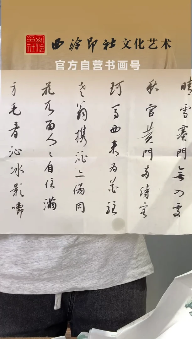 书法苏里 书法 3平尺