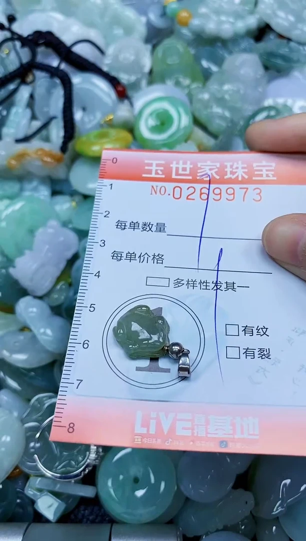 翡翠未镶嵌颈饰闪购0269973