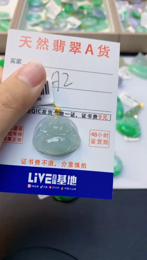 颈饰18K金镶嵌翡翠天然缅甸A货翡翠百元以上9元证书费自理