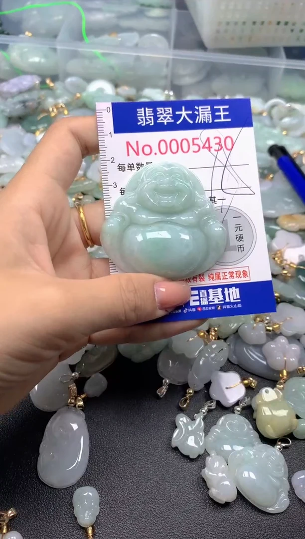 颈饰未镶嵌翡翠5430