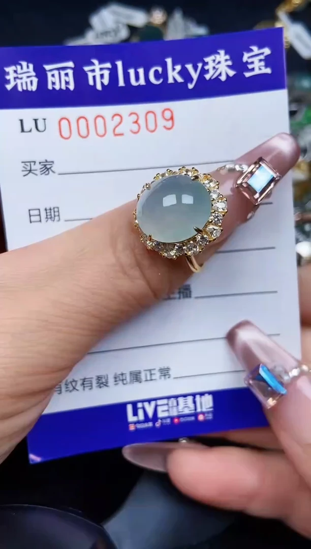 翡翠银S925镶嵌颈饰2309