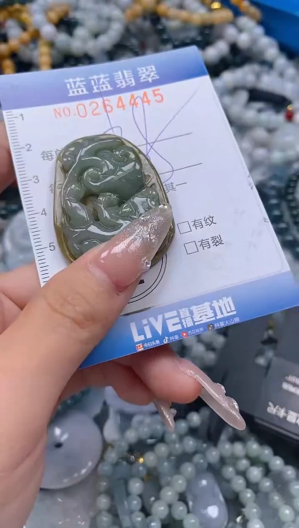 翡翠未镶嵌颈饰闪购0264445