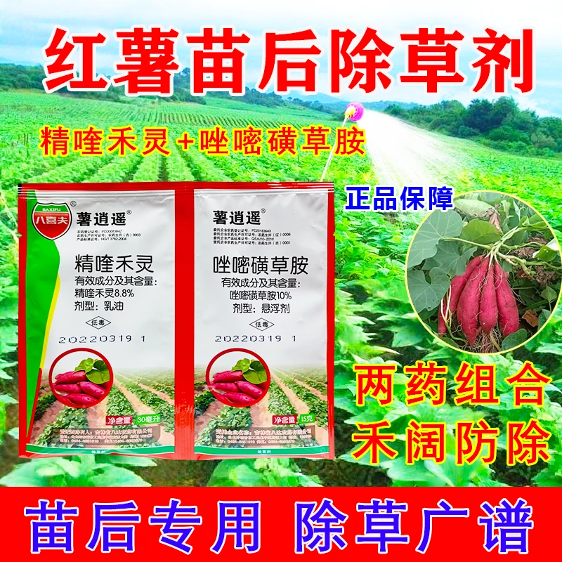 红薯除草剂红薯苗后专用除草剂唑嘧磺草胺禾阔防除红薯地除草剂药