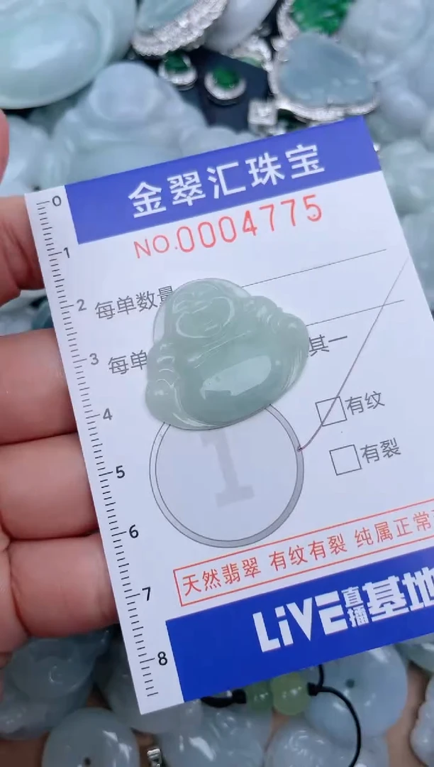 翡翠未镶嵌颈饰4775