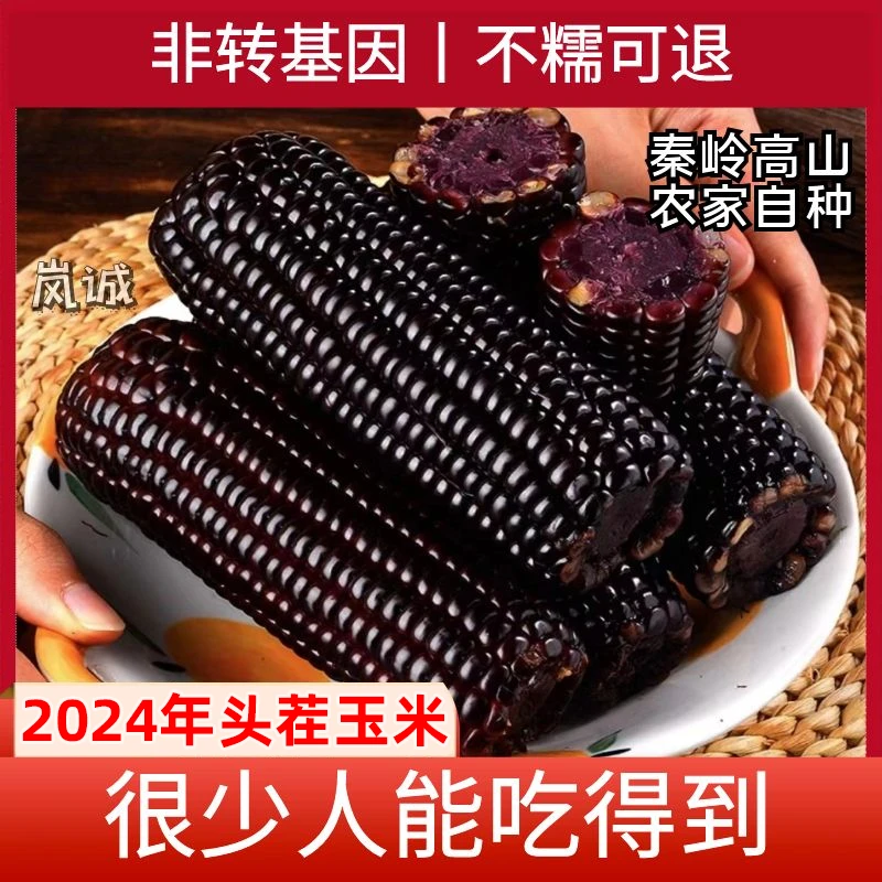 秦岭高山种植黑玉米真空包装富含花青素健身代餐非即食上班速食