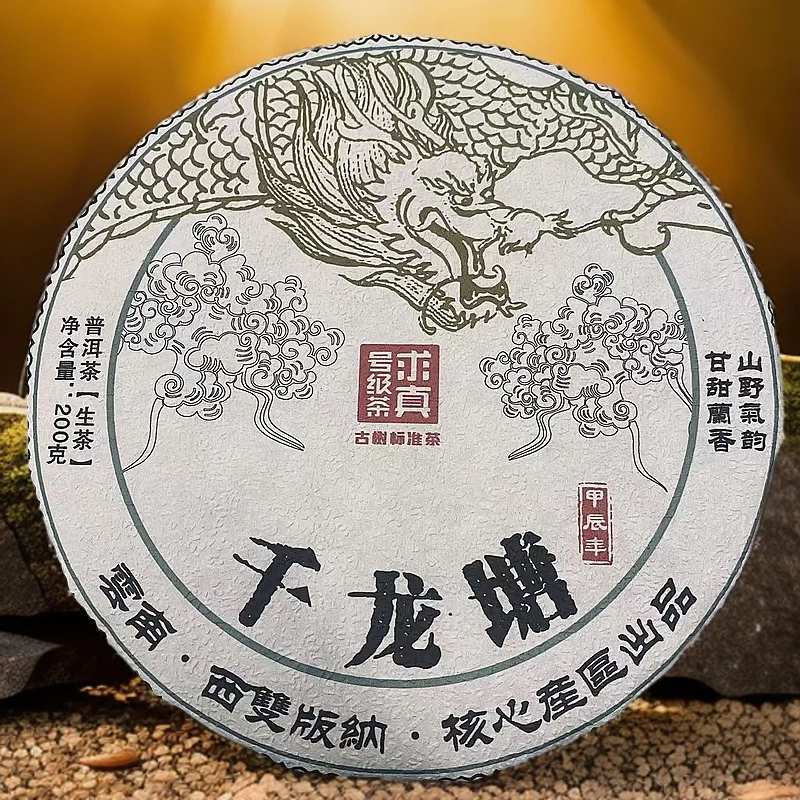 【甜柔香绵】2024年千龙塘200g古树挑采生茶饼