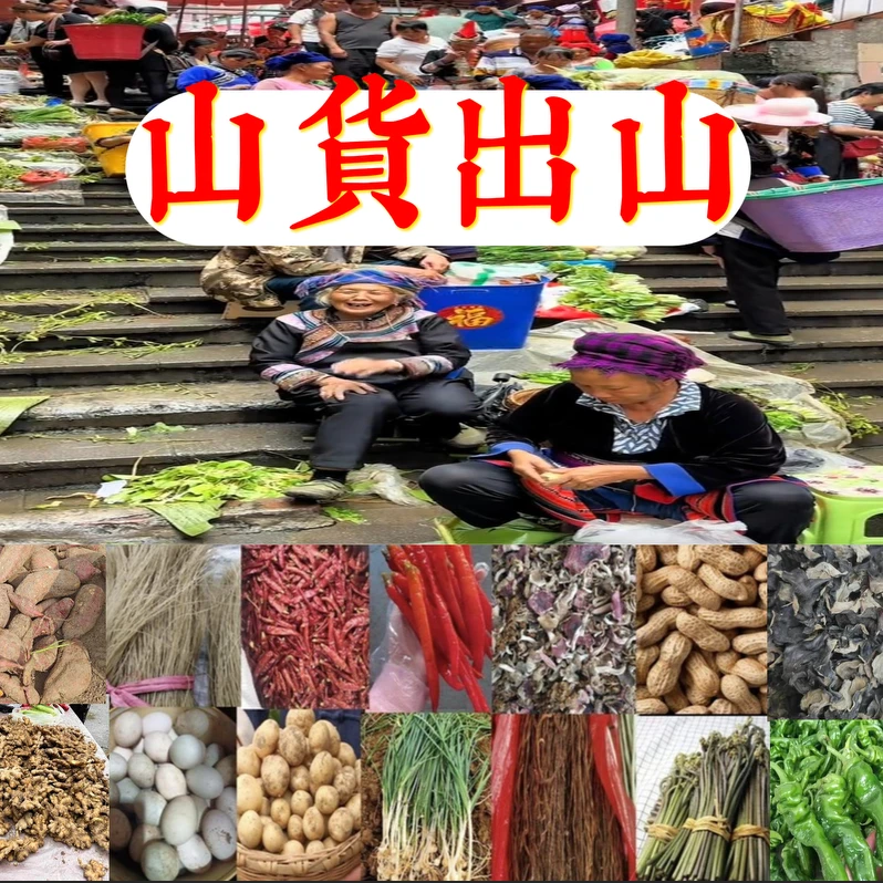 【娟姐】现场直播收山货土货农产品老乡自产自销