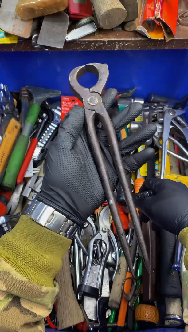 你****了可乐日本工具仓库闪购链接