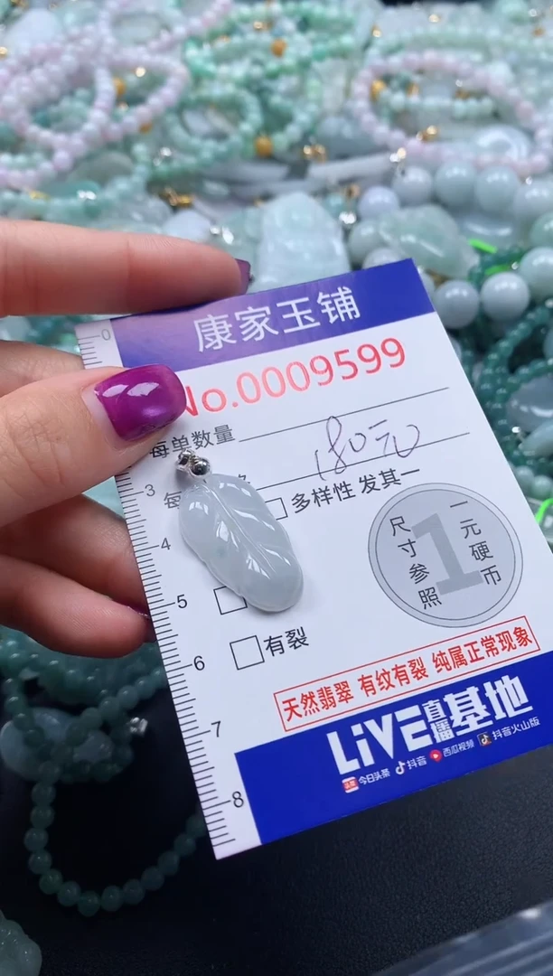 颈饰未镶嵌翡翠9599
