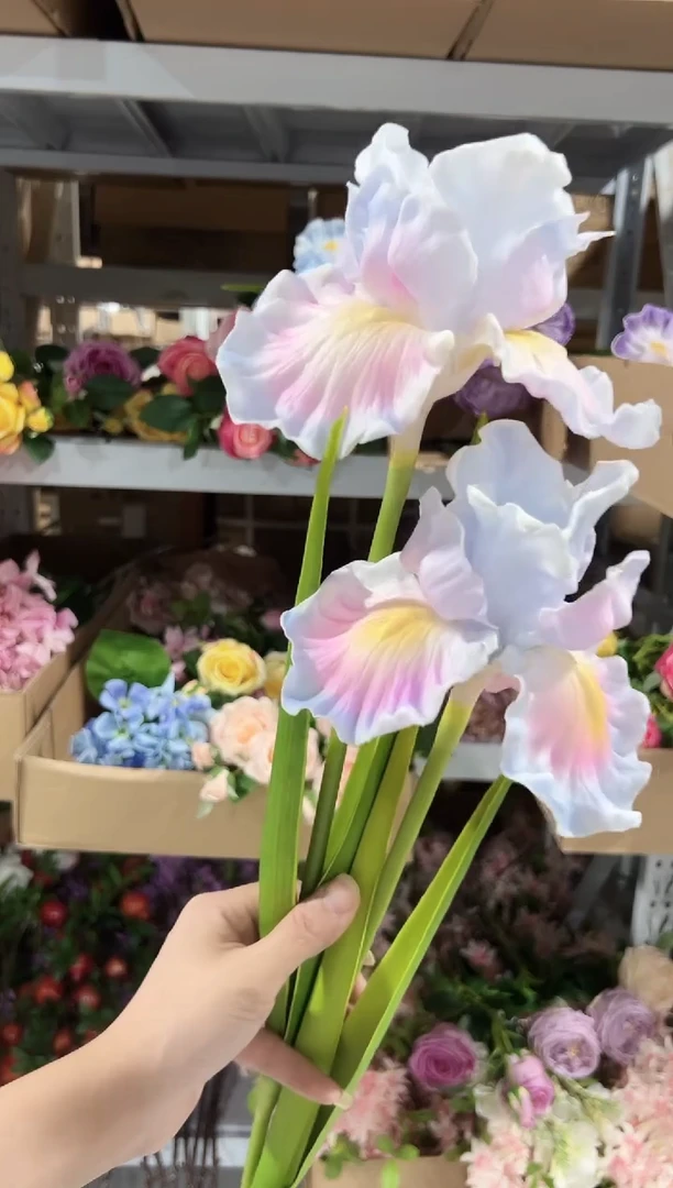 2枝炫彩紫大鸢尾
