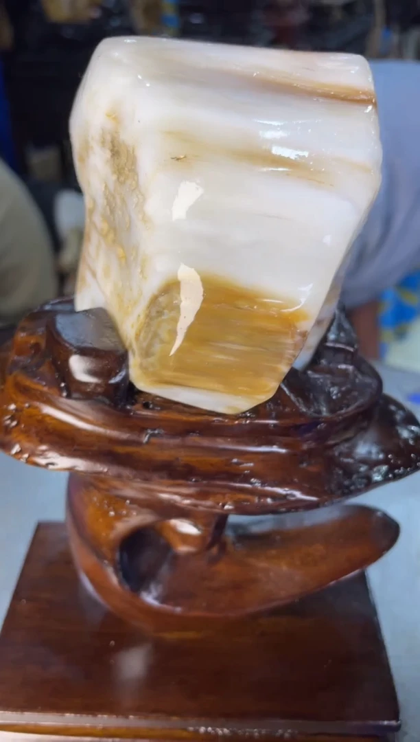 未镶嵌摆件硅化玉2