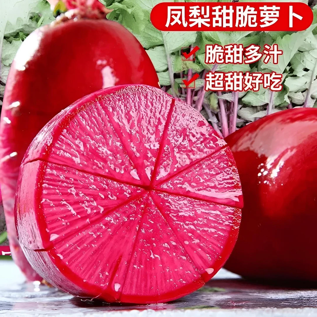 凤梨萝卜种子甜脆水果红皮红心萝卜籽阳台盆菜种子