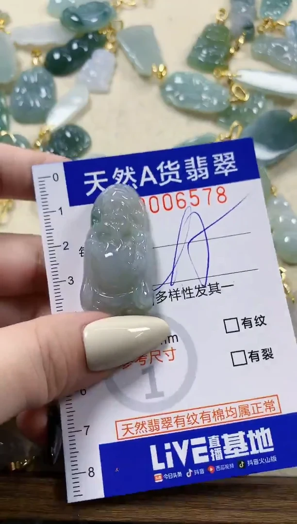 颈饰未镶嵌翡翠天然A货翡翠