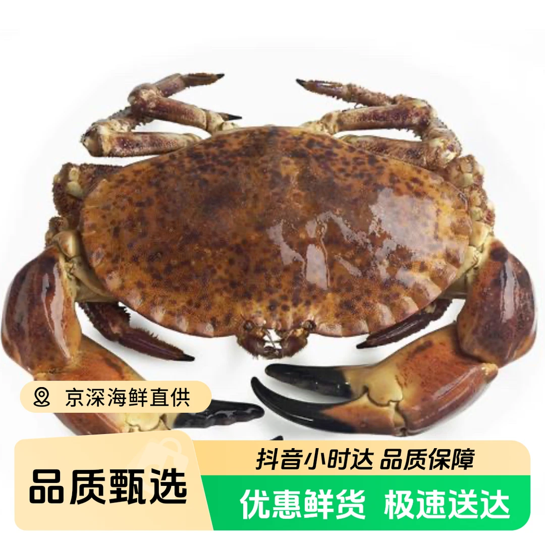 鲜活面包蟹螃蟹黄金蟹蟹同城配送